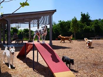 Dog park with covered pavilion, seating, & wi-fi